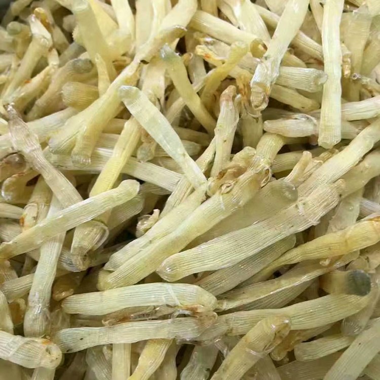 微信图片_20210401214258