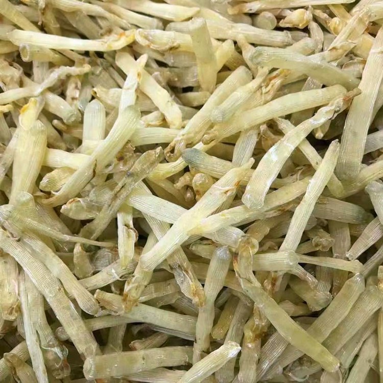 微信图片_20210401214218