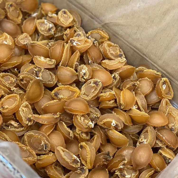 微信图片_20210416231633