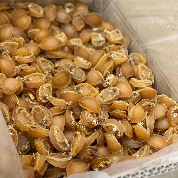 微信图片_20210416231638