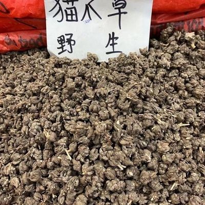 云南猫爪草大个猫爪草小毛茛水洗新货猫抓草500克批发真货好货