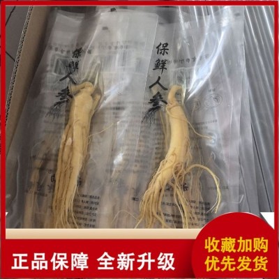 惠参 鲜人参袋装 泡酒煲汤参 大量批发保鲜参煲汤食材