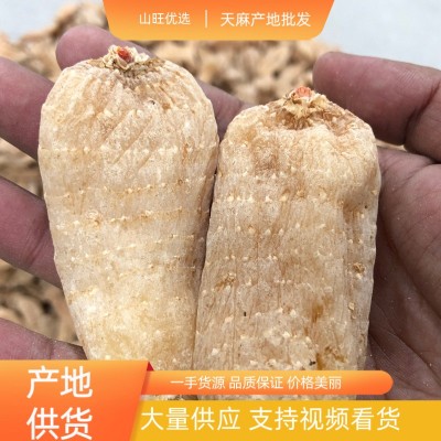 天麻批发天麻干货大别山罗田天麻500g天麻片乌红天麻红麻 产地直发