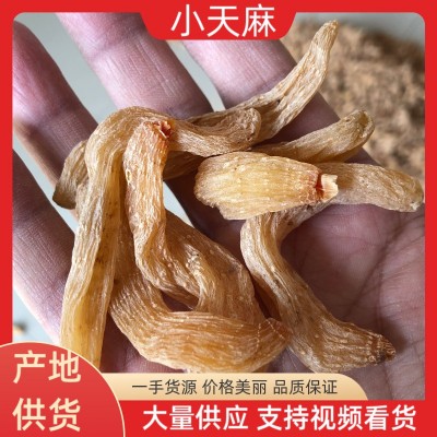 小天麻籽天麻子现货批发散装大别山天麻大货中药材一件代发野生