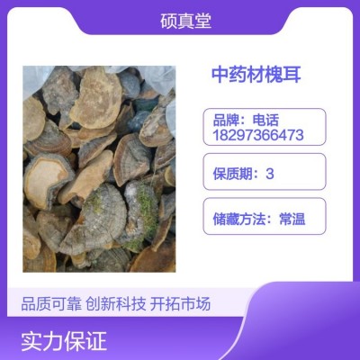 中药材槐耳 槐栓菌 槐芝 原色新货干净无添加批发包邮