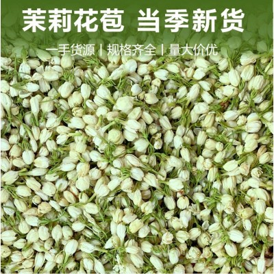 广西茉莉花苞新货茉莉花干茶特级浓香型开花茉莉批发花果茶花茶