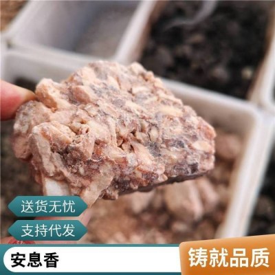 越南安息香 中药材安息香粉 拙贝罗香功效作用