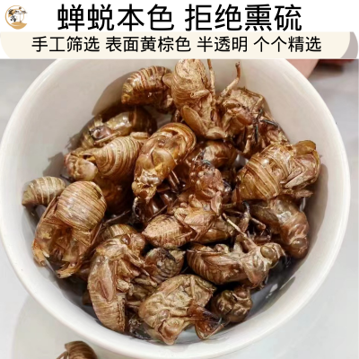 蝉蜕 虫退 蝉衣 水洗货无灌浆 正品统装中药材 知了皮 蝉壳 爬了猴壳 老扭