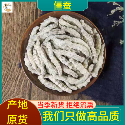 支持检测僵虫 批发中药材白僵蚕 代打粉磨粉 炒僵蚕 产地发货 水洗好货