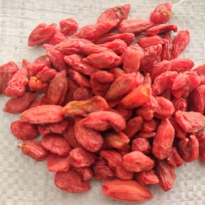 宁夏中宁红枸杞子原味特大颗粒新货自然凉干一包500克代发包邮