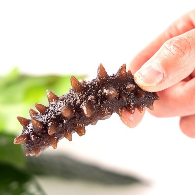 海参工厂固力源开袋即食海参500g大连海参独立包装海参一件代发