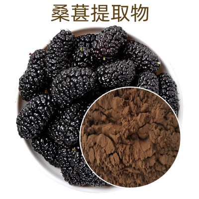 桑葚提取物10:1 桑葚多糖 SC源头厂家供货 品质保证