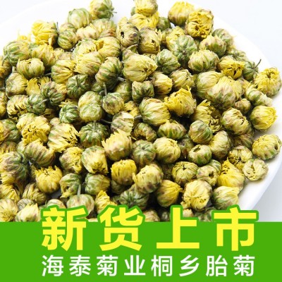 新货桐乡胎菊花茶散装杭白菊花果茶批发菊花500g胎菊散装厂家直销