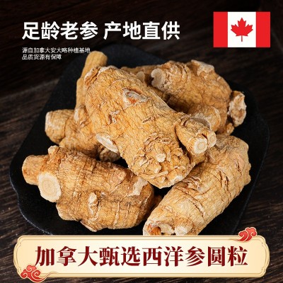 加拿大西洋参圆粒西洋参粒多规格软支足龄花旗参散装产地货源批发