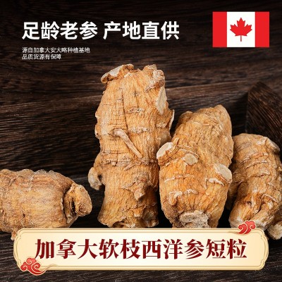 加拿大进口西洋参短粒足龄软支西洋参粒花旗参短粒滋补品散装批发