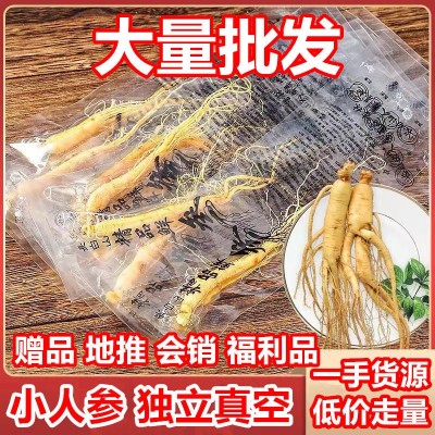 【全店低价】保鲜参小人参东北特产活动会销地推礼品大量批发私域