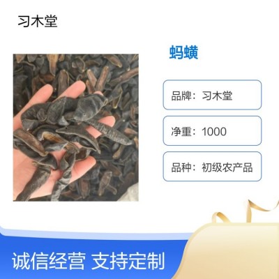 习木堂供应中药材蚂蟥 吊杆水蛭 马鳖 精选无硫 新货批发零售