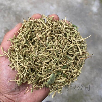 金银花 封丘金银花价格 江正 干金银花