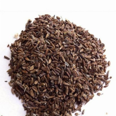 白术种子_江正_药材种子_白术籽_基地批发