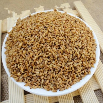 柏子仁1kg中药材批发无熏硫全国发货原产地种植