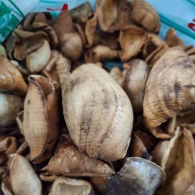 绿梅花的药用价值