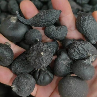 中药材批发乌灵参