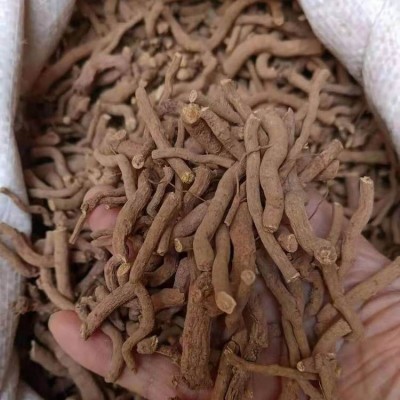 中药材紫河车批发价