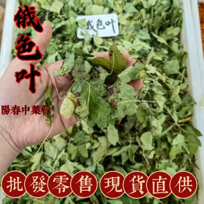 2025年西藏俄色叶新货各种冷背奇中药材变叶海棠高山海棠量大从优