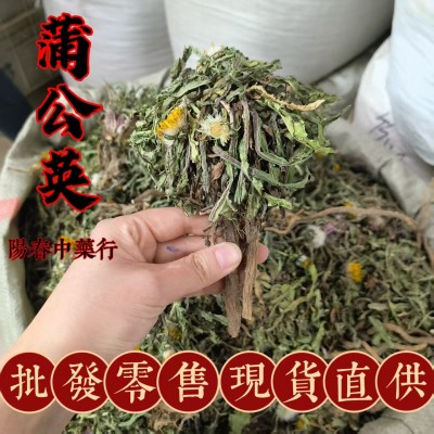 蒲公英整株整颗完整带根婆婆丁带根批发零售整根量大从优