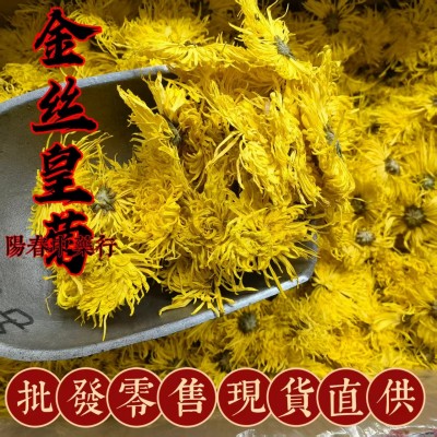 中药材金丝皇菊菊花批发零售量大从优