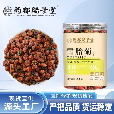 药都瑞景堂 雪胎菊昆仑雪菊花草茶批发代发200g/罐