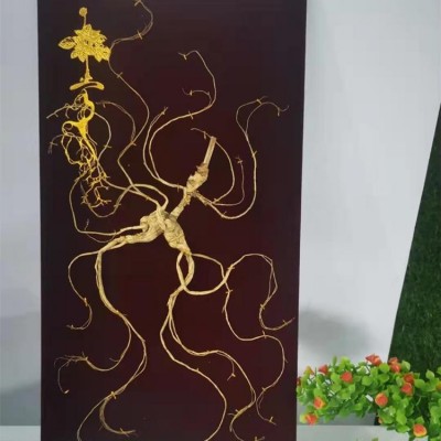 干林下参礼盒装 优质厂家 锦源特产 现货直发 规格齐全