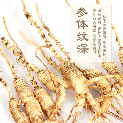 林下山参东北人参干人参生晒参全须人参带礼盒手拎兜东北特产山参