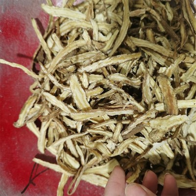 材批发当归直销产地货源散装500g当归片自然晒干