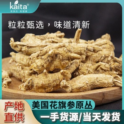 花旗参原丛现货整枝西洋参粒散装产地批发美国软枝原枝人参段
