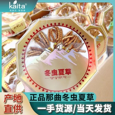 西藏那曲虫草现货冬虫夏草源头批发高海拔非人工无断草盒装干虫草