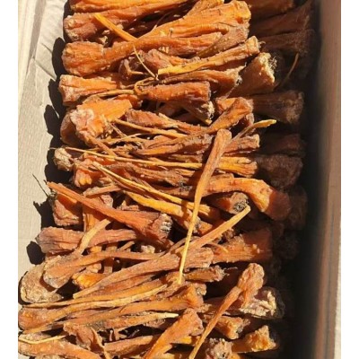 藏雪参 藏血参 西藏雪参 一件代发 量大从优