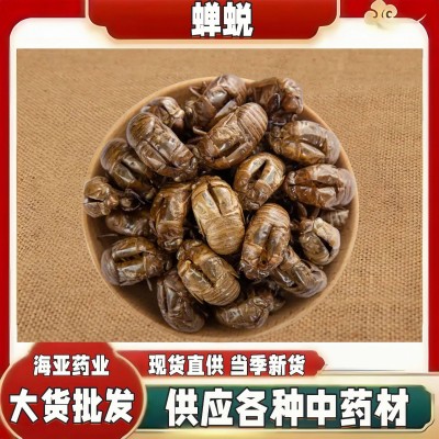 蝉蜕中药材新货散装知了猴皮金蝉壳知了皮爬了猴蝉蜕量大从优