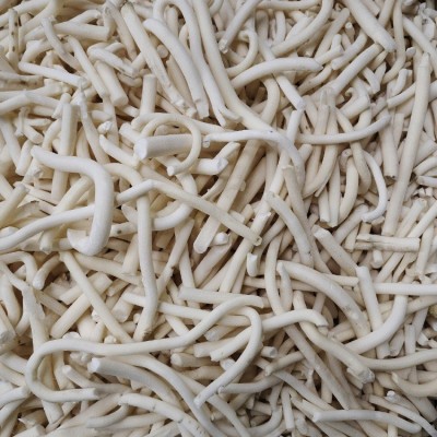 通草新货一斤装大份量小通草500克 新货 原色小通草真货好货