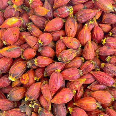 栀子中药材香料大货批发源头好价花茶原料散装正品500克山栀子果