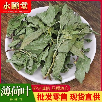 薄荷叶散装批发500克新货花茶草新鲜原料食用薄荷茶颗粒量大从优