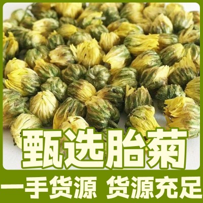 新货桐乡胎菊花茶散装杭白菊花果茶批发菊花500g胎菊散装厂家直销