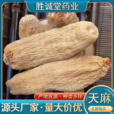 云南昭通红天麻个批发不熏硫小草坪乌天麻批发规格多样量大价优