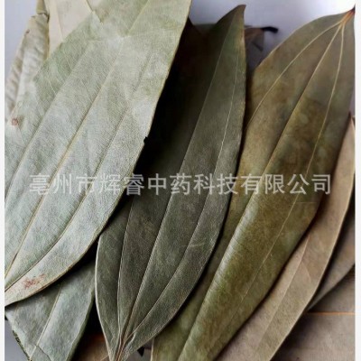三条筋三条筋叶柴桂香叶子中药材三条筋 批发大货