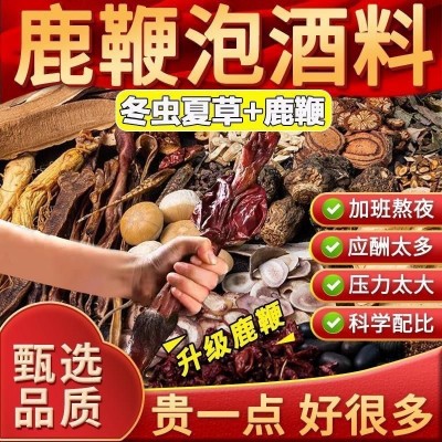 冬虫夏草 鞭 正品泡酒料滋补养生原材料经典配方 泡酒的药材