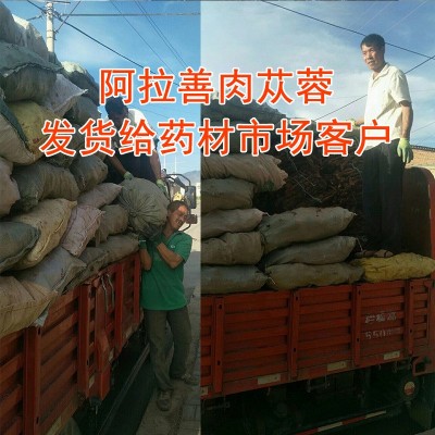 内蒙阿拉善荒漠秋季油苁蓉泡酒泡茶熬汤料产地软大芸3根一斤药材