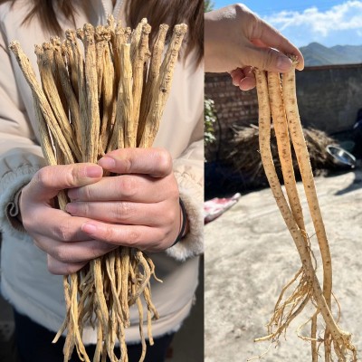 党参批发中药材无硫党参条甘肃特产党参段无硫原色党参片当归黄芪