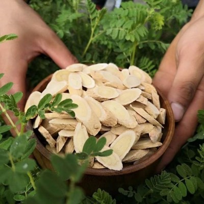 产地直供甘肃黄芪500g野生特级黄氏北芪片中药材正品当归党参批发