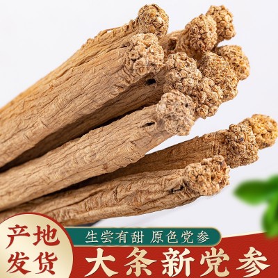 党参批发中药材无硫党参条甘肃产党参段无硫原色党参片当归黄芪