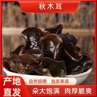 东北木耳批发 长白山一斤袋装秋木耳小碗肉厚一件代发干货黑木耳